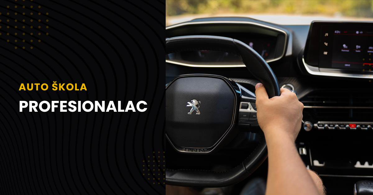 AUTO ŠKOLA PROFESIONALAC logo